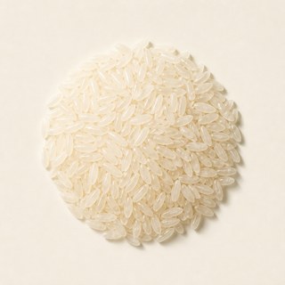 Rice Protein