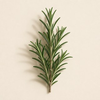 Rosemary